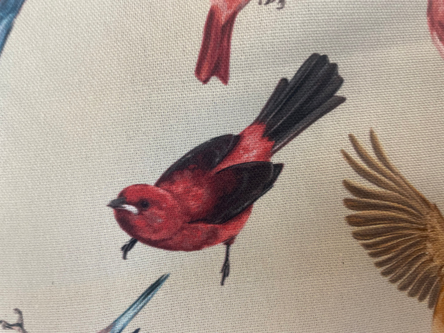 Cotton Canvas - Colorful Birds