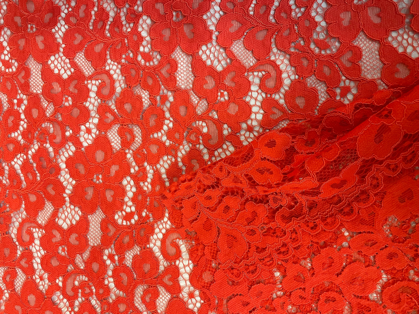 Floral Corded Lace - Blood Orange