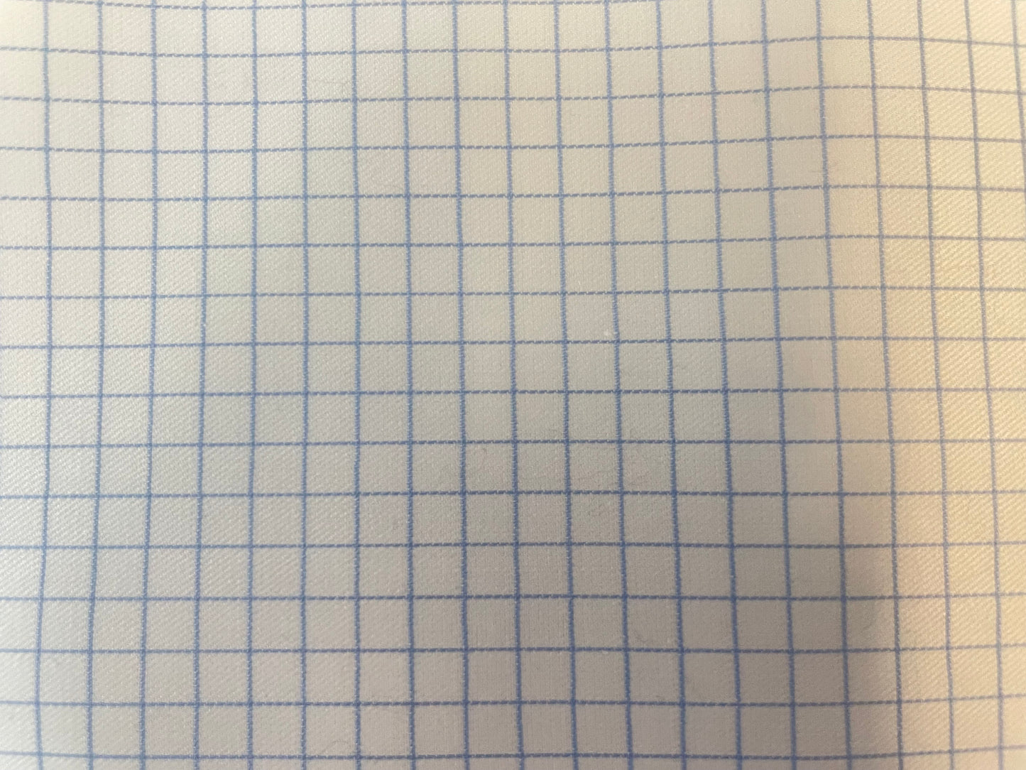 Mini Plaid Cotton - Blue & White