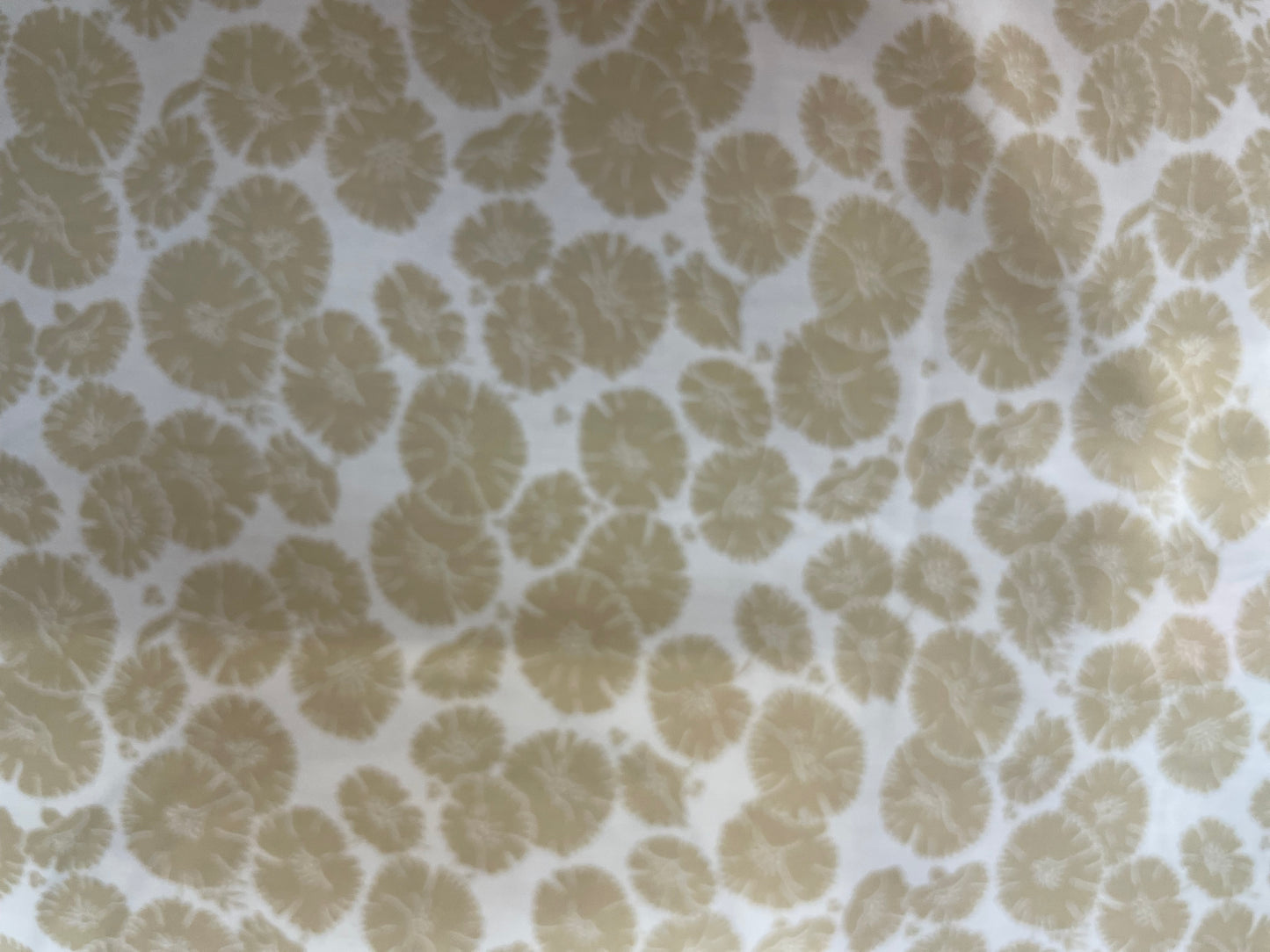 Printed Floral Cotton - Off-White & Beige