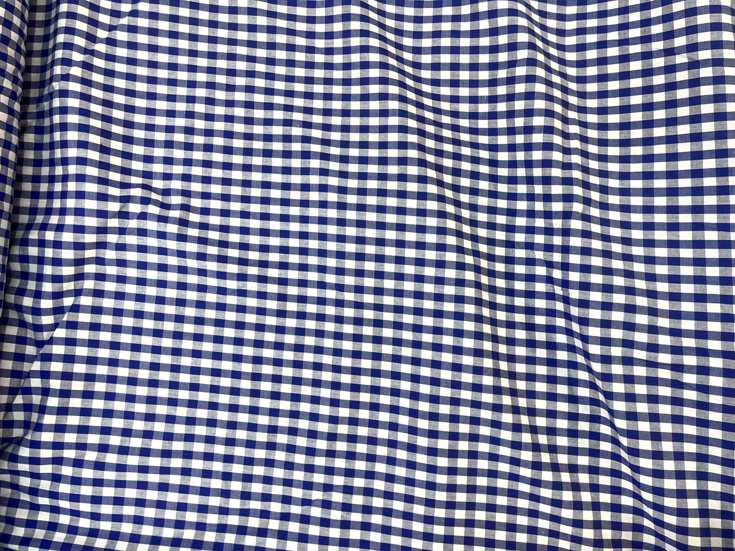 Gingham Cotton - Blue & Off-White