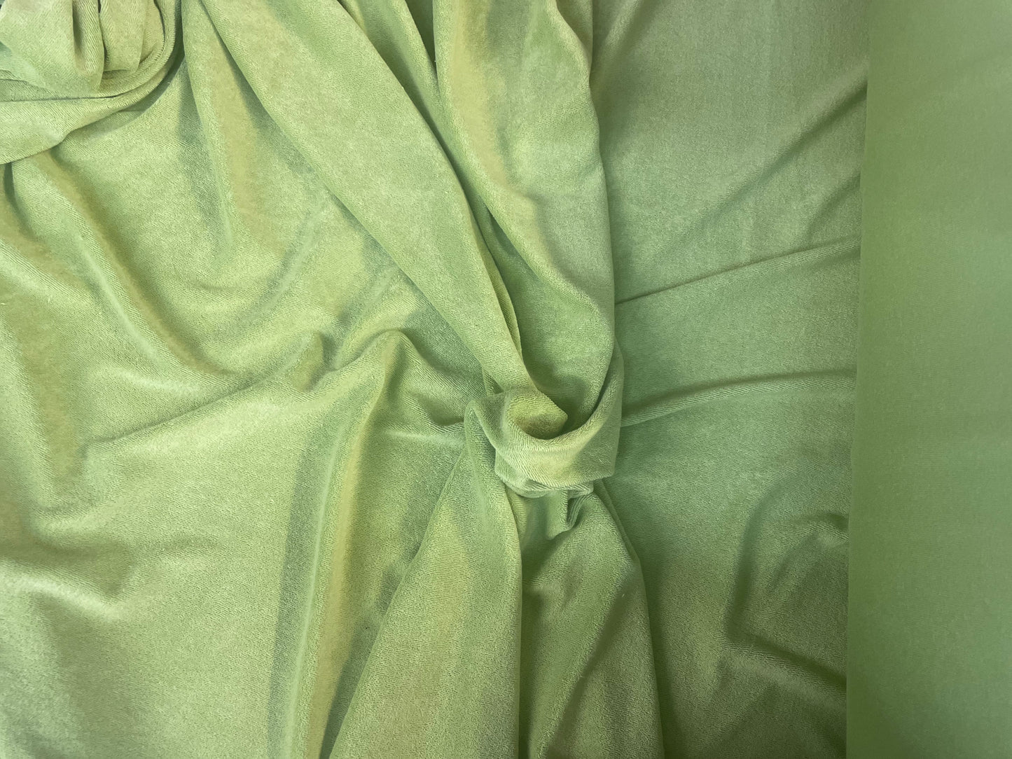 Cotton French Terry - Muted Light Green