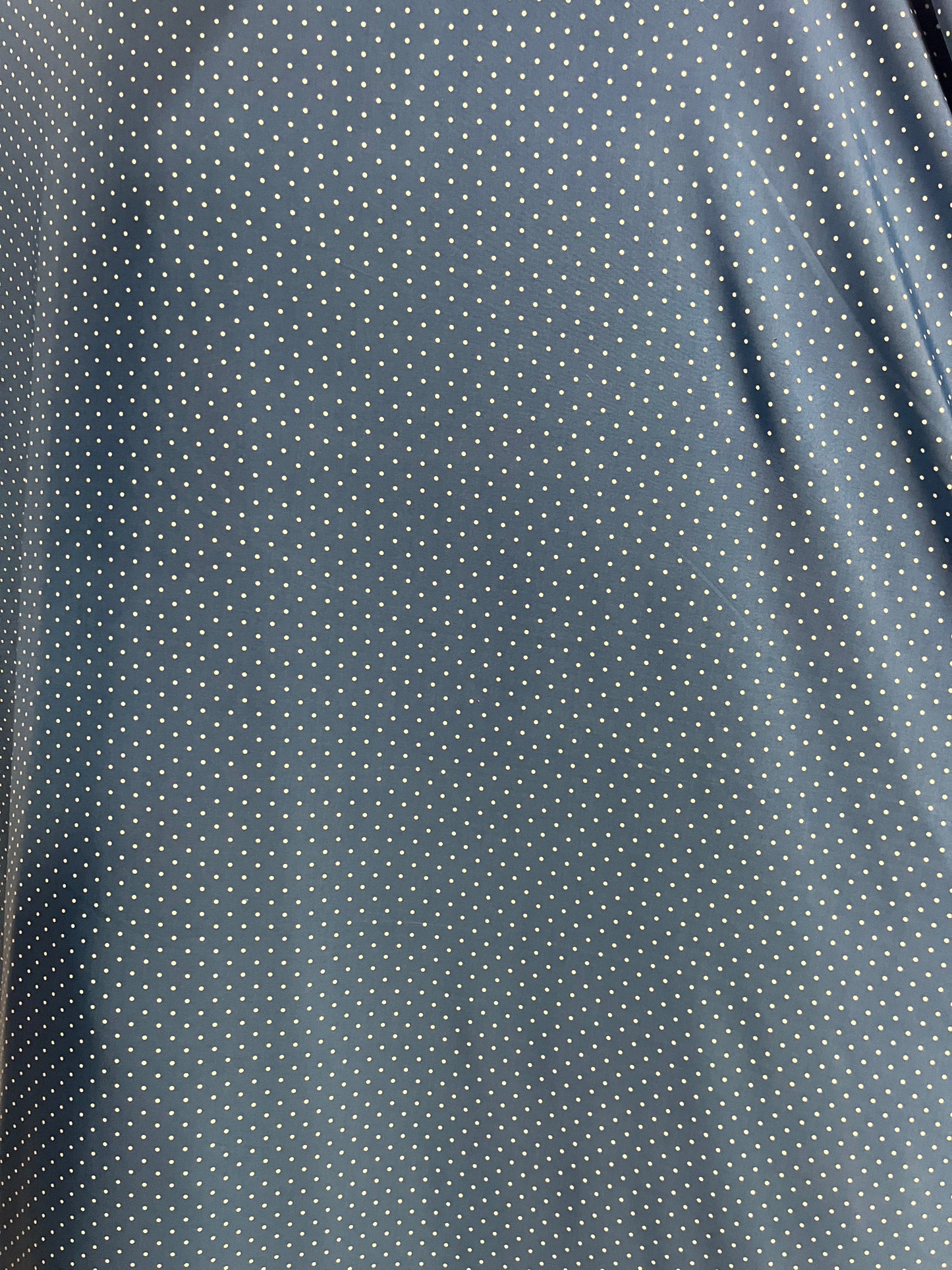 ITY Celestial Blue & Off-White Polka Dot Print
