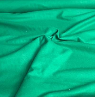 Designer Melton Wool - Green