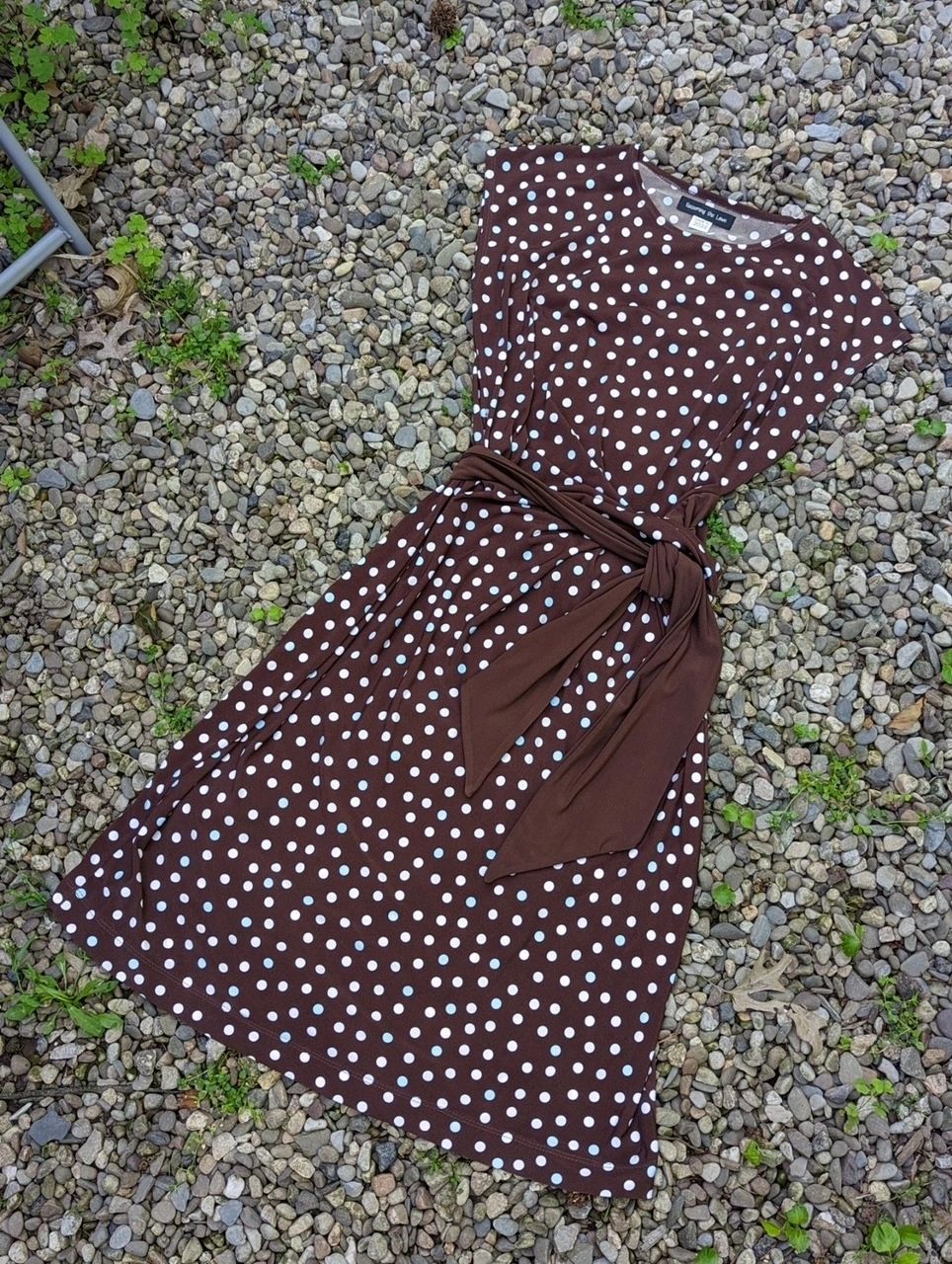 Brown, Ivory & Blue Polka Dot Print ITY