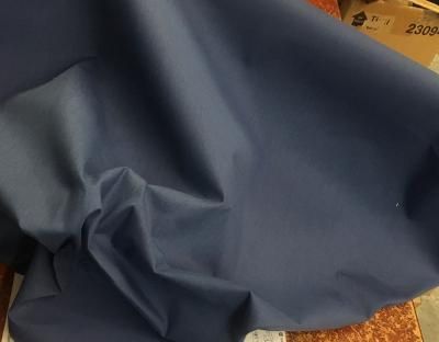 Siri Interfacing - Blue