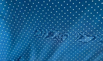ITY Celestial Blue & Off-White Polka Dot Print