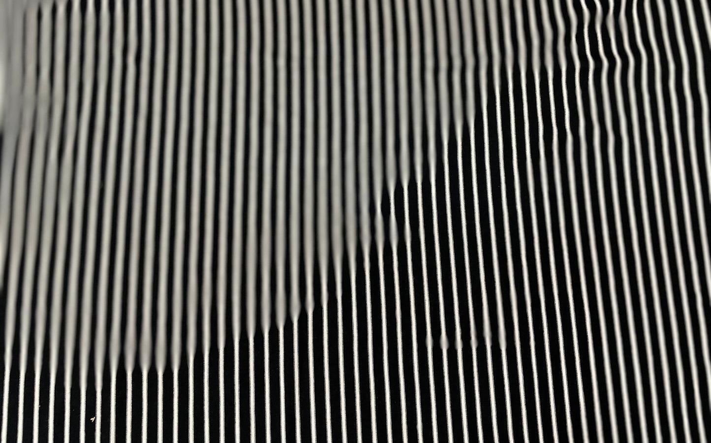Black & White Striped Cotton Jersey