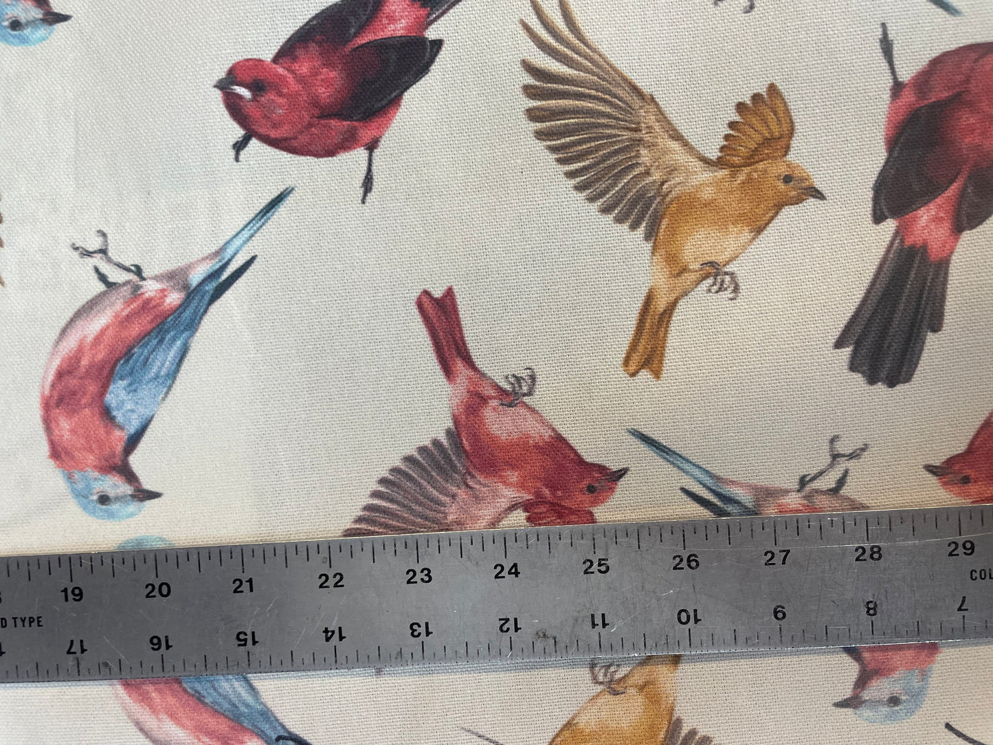 Cotton Canvas - Colorful Birds