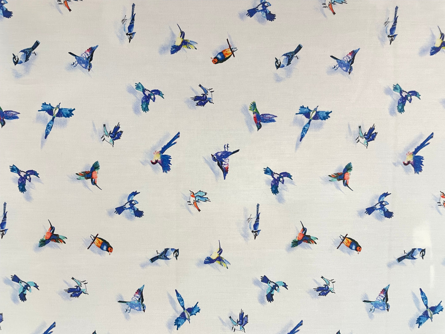 Italian Cotton Shirting - Blue Birds