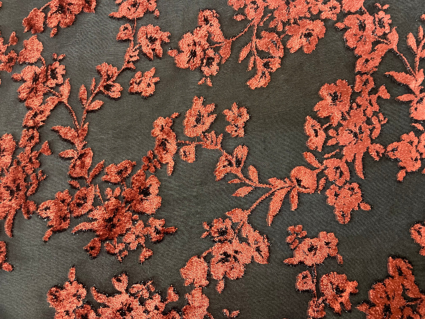Floral Print Velvet Burnout Mesh - Burnt Orange & Black