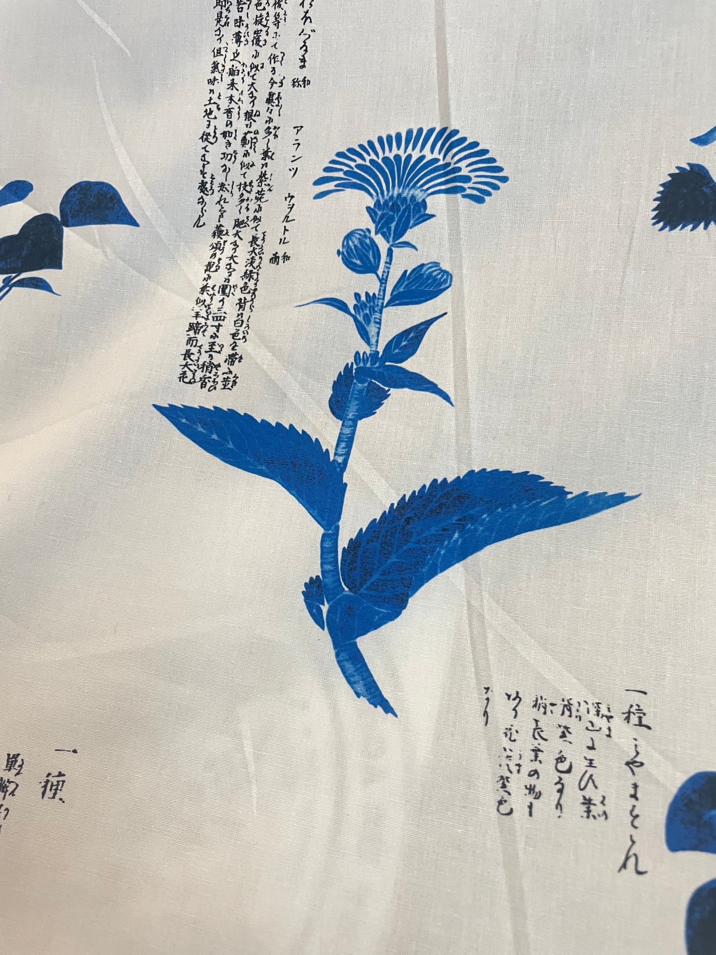 Japanese Watercolor Conversation Print Cotton - Blue & White