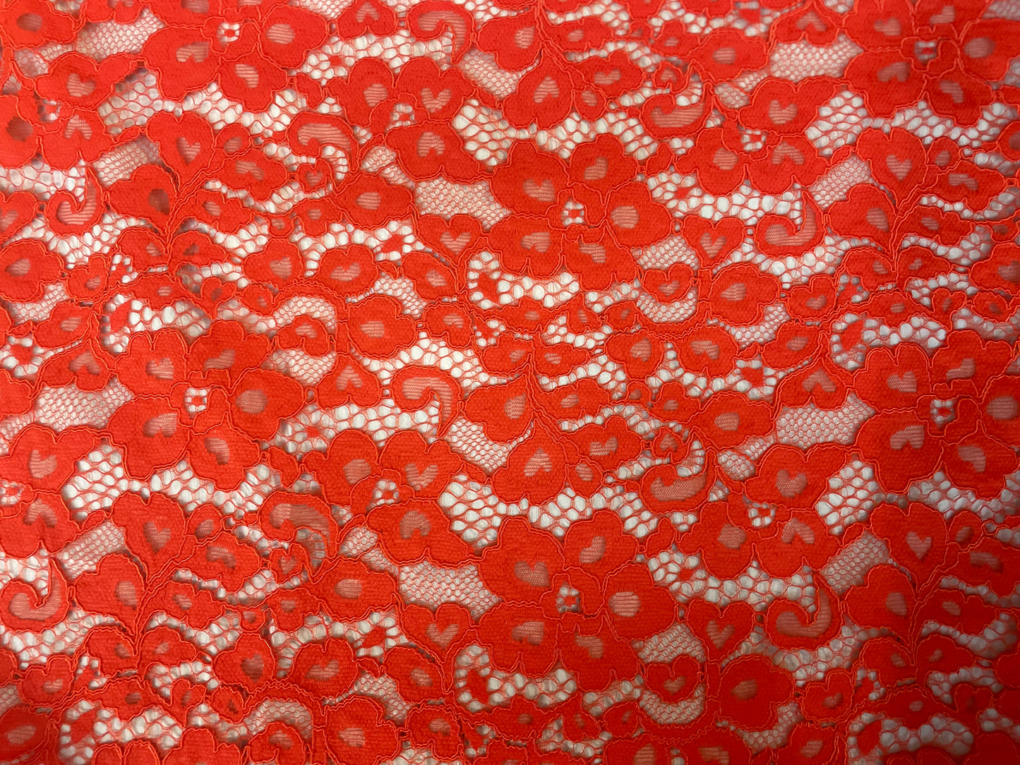 Floral Corded Lace - Blood Orange