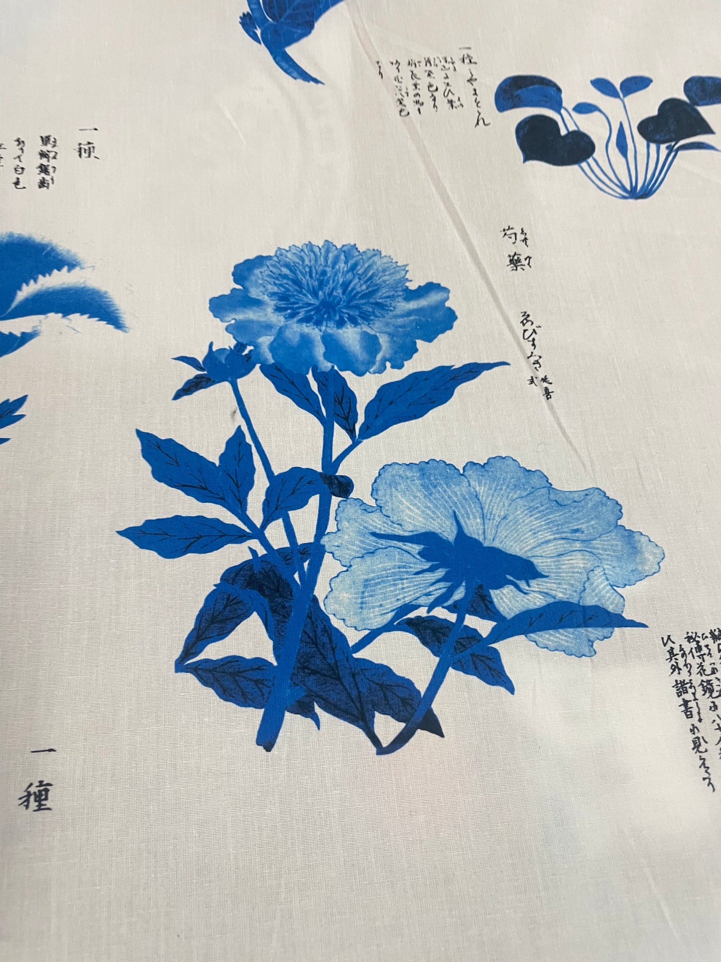 Japanese Watercolor Conversation Print Cotton - Blue & White