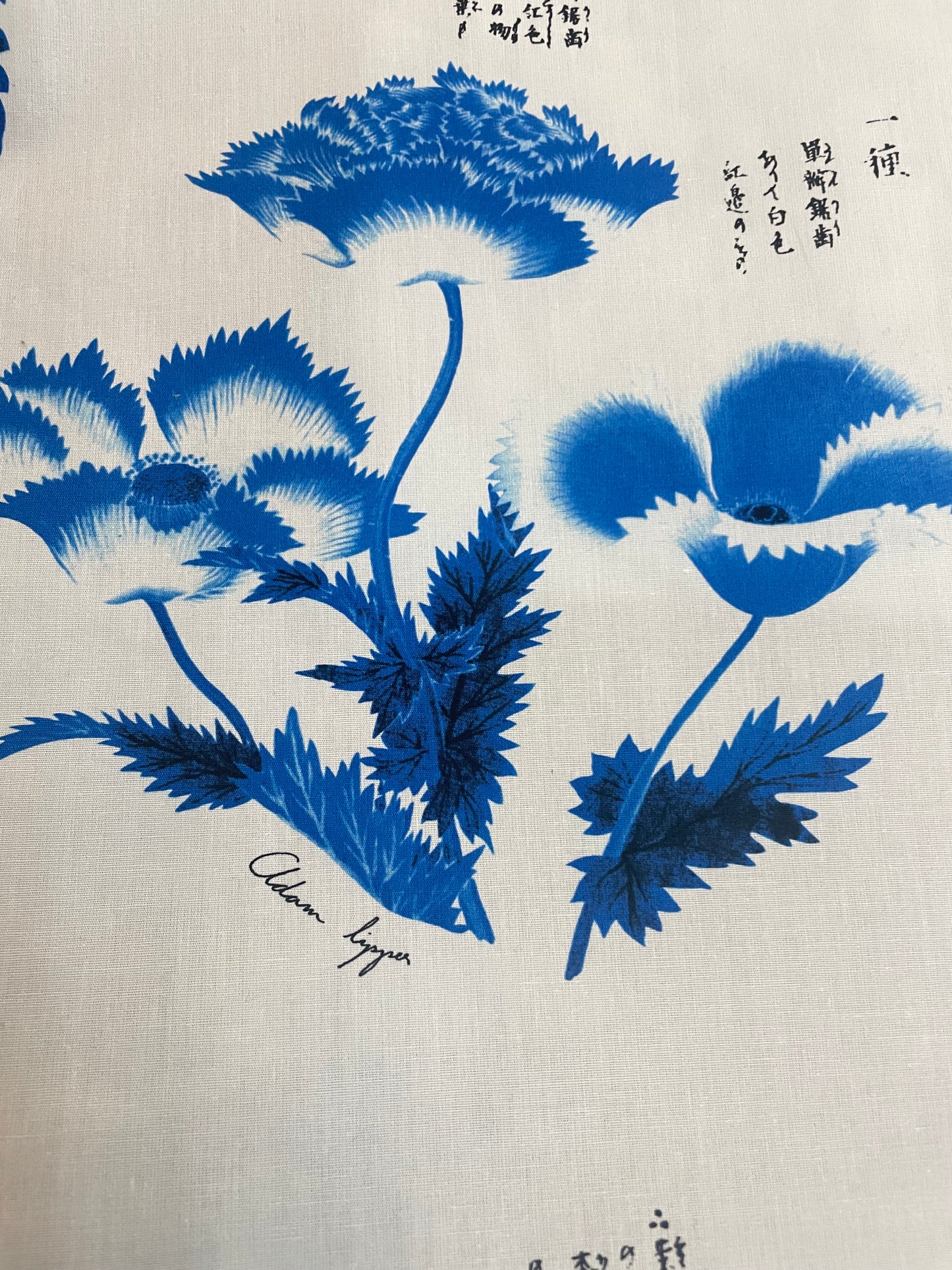 Japanese Watercolor Conversation Print Cotton - Blue & White