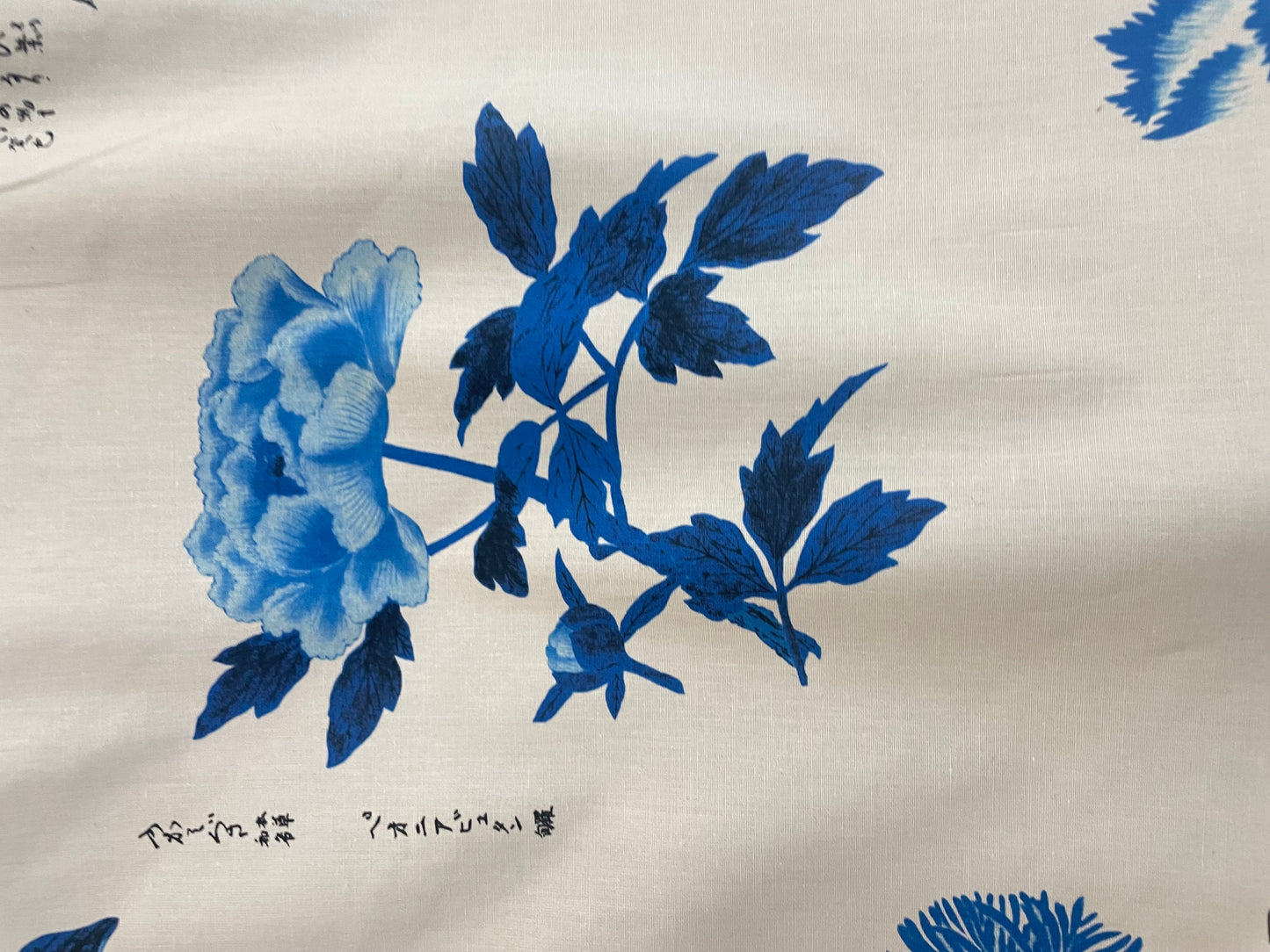 Japanese Watercolor Conversation Print Cotton - Blue & White