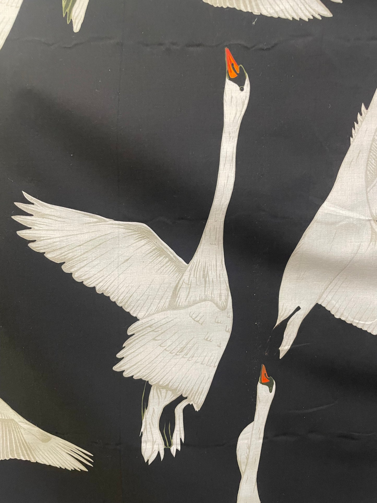 Italian Swan Print Cotton - Black & White
