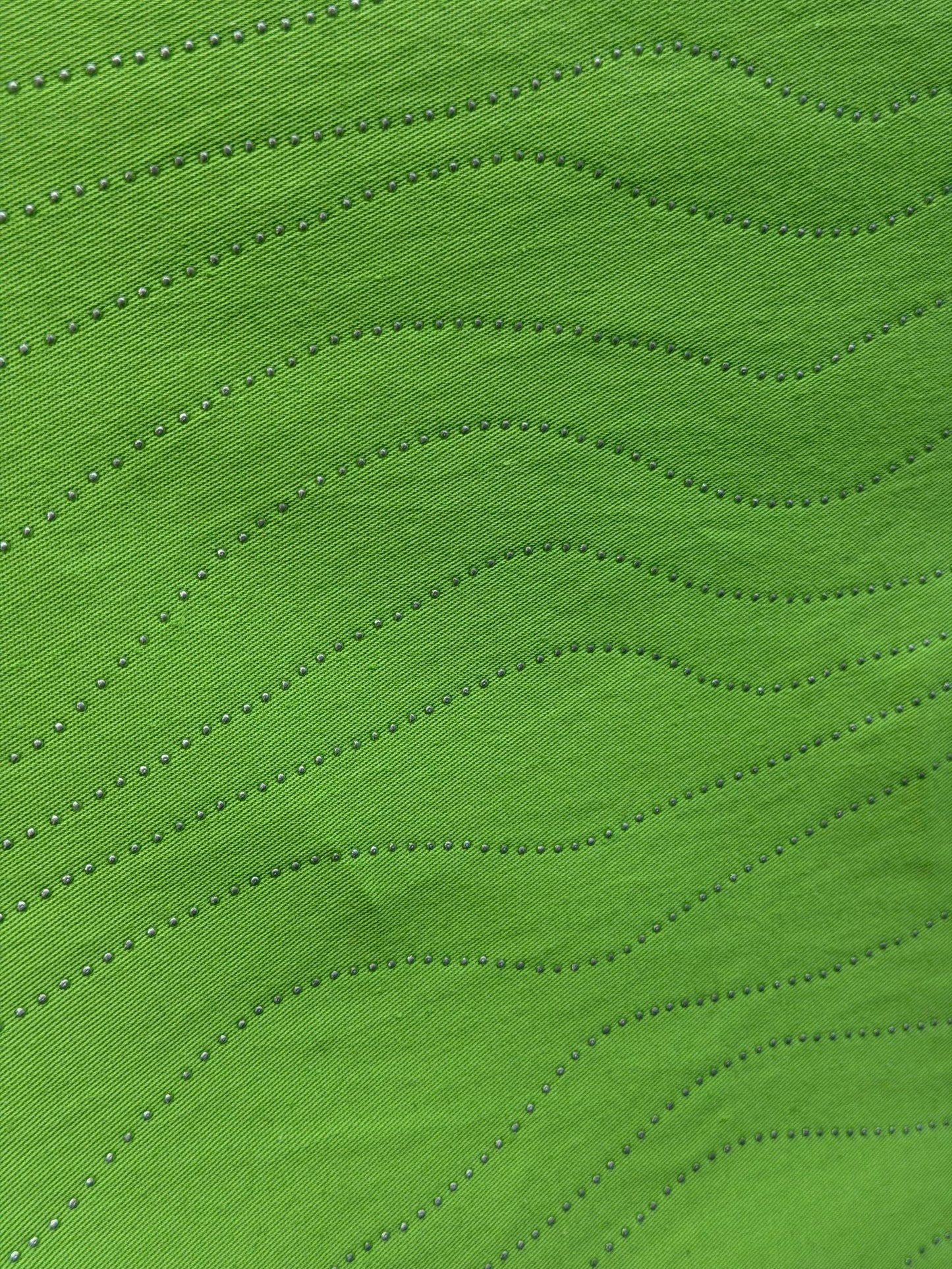 Embellished Cotton Twill - Lime & Silver