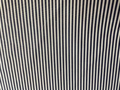 Fused Stripe Cotton - Blue/ white
